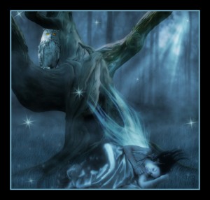 Moonlit_Dreams_by_Brashier.jpg